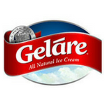 Franchise business plan